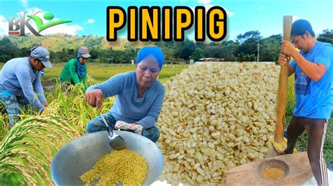 pinayflix pinipig|Ang Pagdilig ni Balweg sa Pinipig .